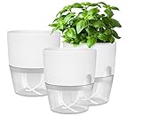 Windfromort Kräutertopf Küche Set - Kräutertopf Selbstbewässernd - Küche Balkon Set, Kunststoff...