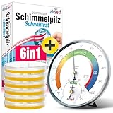 Schimmeltest + Thermohygrometer: Zum Check der Schimmelbelastung für bis zu 6 Räume. Inkl....