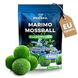 11 Stk Moos Aquarium Moos Echt - Mooskugeln Für Aquarium Echt Cladophora Natürliche Wasserpflanzen...