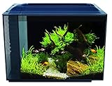 Fluval Spec XV Aquarium, mit 60L Fassungsvermögen, in schwarz, 1 Stück (1er Pack)