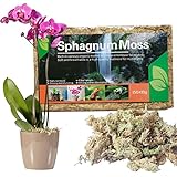 Gidenfly Natürliches Torfmoos,Sphagnum Moos Blumenerde | Pflanzentopfmischung für fleischfressende...