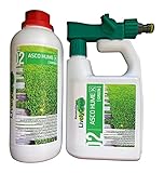 Premium Bio Rasendünger von LivelyGreen. Flüssiger BIO-Dünger, kinder- und tierfreundlich. Reicht...