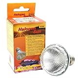Lucky Reptile Halogen Sun, Wattstärke:50 Watt