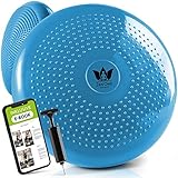 ZenOne Sports® Balance Kissen I Ballsitzkissen für Koordinations- & Rückentraining I...