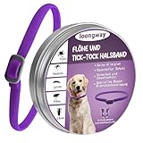 loongway Verstellbares Halsband für Hunde, Wasserfest,65cm,für Hunde ab 3 Monaten