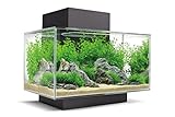 Fluval Edge 2.0 Nano Aquarium, 23L, schwarz, 1 Stück (1er Pack)