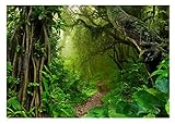 WallArena - Vlies Fototapete Wald Bäume Dschungel Pflanzen Regenwald 368x254 cm - Fototapeten -...