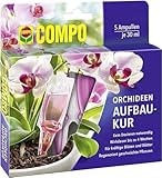 COMPO Orchideen-Aufbaukur – 4 Wochen Langzeitwirkung - für alle Orchideenarten - erste Hilfe bei...