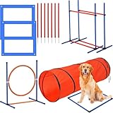 Hunde-Agile-Trainingsausrüstungsset, Hindernisparcours-Set mit...