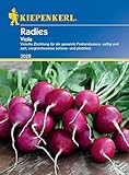 Kiepenkerl 3028 Radieschen Viola, violette Radies-Sorte für die ganze Freilandsaison
