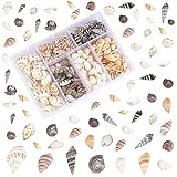 VIEVRE Muscheln,Deko Muscheln,Muscheln Deko,100 Stücke 1-3cm Muschel,Muscheln zum Basteln,Muscheln...