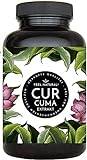 Curcuma Extrakt von FEEL NATURAL - (90 Kapseln) - laborgeprüft, vegan, hochdosiert, ohne...