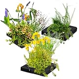 vdvelde.com - Drijvend Planteneiland Trio - 25 cm - • Filterplanten• 12 water zuiverende...
