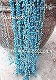 SEEDS -Rare Blue Pearl Chlorophytum Seed decoration 200 pcs exotic Seed Succulent Anti Particles...
