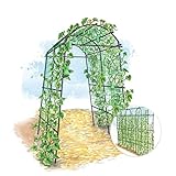 Metall Garten Rankhilfe für Kletterpflanzen - Robustes Pflanzenklettergerüst für Gurken, Gemüse,...