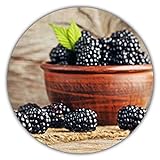 Riesen Brombeeren - Ca. 50 Samen - Gesunde & Vitaminreiche Früchte
