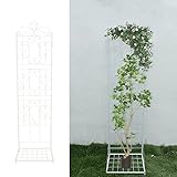 Baoz Gartenspalier für Kletterpflanzen, 152.4x45.7 cm, für den Außenbereich, Metallzaun,...