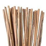 UNUS Bambusstäbe, Pflanzenstäbe zur Stabilisierung von Pflanzen im Garten, Rankstäbe Bambus 120...