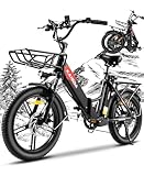 KAISDA E Bike Elektrofahrrad E-Bike mit 36V20.8Ah Abnehmbarer Akku,All-Terrain Ebike,mit 20 Zoll Fat...