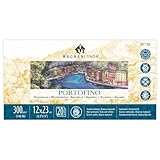 Magnani 1404 Italia Cold Press Aquarellpapier aus 100 % Baumwolle, 20 Blatt, 11,4 x 22,9 cm, 63,5...