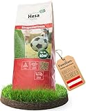 Hesa Sportrasen, 1 kg Strapazierrasen für ca 40 m², schnellkeimende Premium Rasensamen für starke...