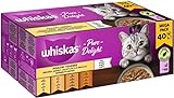 Whiskas 1+ Katzennassfutter Ragout Geflügel Auswahl in Gelee, 40x85g (1 Packung) – Hochwertiges...