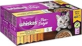 Whiskas 1+ Katzennassfutter Ragout Geflügel Auswahl in Gelee, 40x85g (1 Packung) – Hochwertiges...