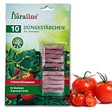 floraline® | 10x Tomaten - Düngestäbchen | Tomatendünger für bis zu 3 Monate hohe Ernten und...