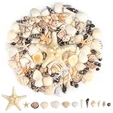 RISF Muscheln Gemischte, 13 Stile Muscheln zum Basteln, 170g Muscheln Deko mit Aufbewahrungsbox,...