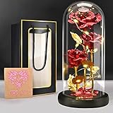 BoriYa Ewige Rose im Glas -Infinity Rosen Geschenke für Frauen,Schöne und das Biest Rose mit...