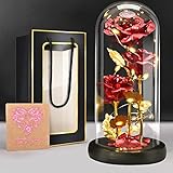 BoriYa Ewige Rose im Glas -Infinity Rosen Geschenke für Frauen,Schöne und das Biest Rose mit...