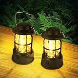 Flintronic 2 Stück LED Campinglampe Tragbar, IPX4 Wasserdichte Camping Licht, Batteriebetrieben...