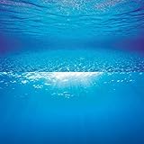 Juwel Aquarium - Poster 2 S - passend für Aquarien 60 x 30 cm