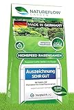 Rasen Nachsaat 0,5kg - Grassamen TEST SEHR GUT - Rasensamen schnellkeimend aus Deutschland für 20qm...