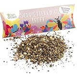 Schmetterlingstreff Blumenmischung: 100g Premium Schmetterling Blumensamen Saatgut -...