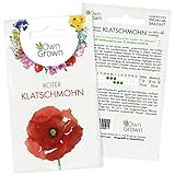 Roter Klatschmohn Samen: Premium Mohnsamen für ca. 400 blühende Mohn Pflanzen – Schöne...