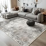BEIMO Waschbarer Teppich Wohnzimmer, Abstrakt Design Teppich Schlafzimmer Kurzflor, Groß Teppiche...