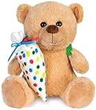 BRUBAKER Teddy Plüschbär mit Schulranzen und Schultüte zum Befüllen Bunt - 25 cm Teddybär für...