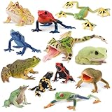 TOYMANY 12 Stück Frosch Tiere-Figuren Frösche Spielzeug Set Kunststoff Regenwald Figuren, Kuchen...
