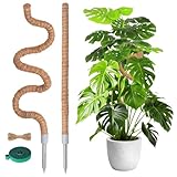 Pflanzstab Monstera Rankhilfe Moosstab - 2pcs 62cm&120cm Biegbar Plant Support Rankhilfe...