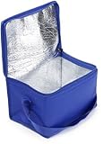 Shentian Kleine Kühltasche Kühlbox blau/Lunch-Taschen/Kühltaschen & -Boxen (Blau Kühltaschen)