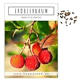 Erdbeerbaum Samen (Arbutus unedo) - Immergrüner Obstbaum mit exotischen Früchten und...