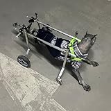 Hunderollstuhl für behinderte Haustiere – Verstellbare Rücken- und Beinstütze aus Aluminium,...