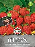 Sperli Erdbeerensamen Elan, F1, Pillensaat 80689 - Immertragend & aromatisch - Kübelgeeigent -...