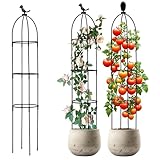Griwuut Garten Rankhilfe 120 cm Obelisk Rankhilfe Abnehmbar,Pflanzenstütze Obelisk Rankgitter,Höhe...