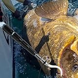 LatoYard Edelstahl Flying Gaff Haken zum Meeresangeln 304 Edelstahl 19,5cm/26cm Haken mit 6m Seil