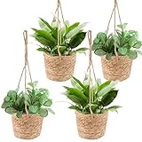 APACALI 4 Stück Blumentöpfe Hängende, Seegras Pflanzentopf, Hängender Pflanzerkorb, Handgewebt...