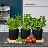Novaliv Stilvolle Kräuterstation 3er Set mit Holzunterlage - Kräutertopf für Jede Fensterbank,...