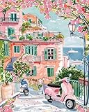 Qihensail Rosa Malen Nach Zahlen Erwachsene,Straße Paint by Numbers Adults,Diy Malen Nach Zahlen...