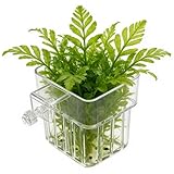 Generico Plant Holder for Fish Tank - Transparent Pot | Hangable Aquarium Planter, Ideal for Fish...